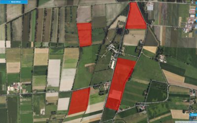 Stellungnahme gegen die geplante Photovoltaikanlage der SWM am Ismaninger Sender