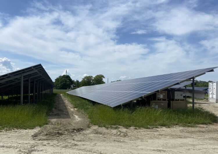 Pv Anlage, Ismaning, br, Moos, Sender, risinger