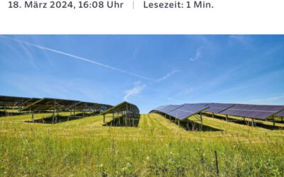 SZ vom 18.03.2024 – Sonnenstrom aus dem Ismaninger Moos