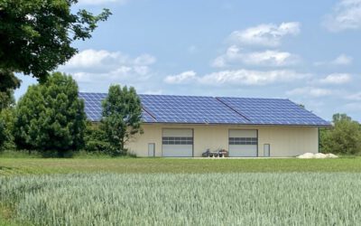 Eckpunkte für einen naturverträglichen Ausbau der Solarenergie