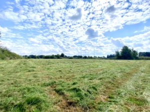 Wenn hier die PV anlage aufgeständert ist, kann kein Traktor mehr durchfahren und Gras mähen