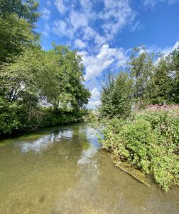 Eine natürliche entstandene Pferdefurt an der Goldach.