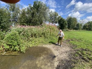 Kraus Adi erklärt mir die Natur und bereitet die Entnahme der Wasserprobe vor. Er kennt hier jedes Tier und jede Pflanze.
