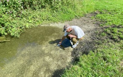 Wasserproben rund um das BR Gelände im Ismaninger Moos