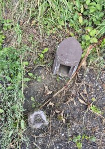 Das Vogelhäuschen wurde von uns gereinigt