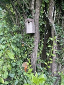 Das Vogelhäuschen hängt an seinem neuen Platz