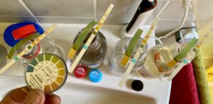 Erste Probenauswertung der 4 Wasserproben