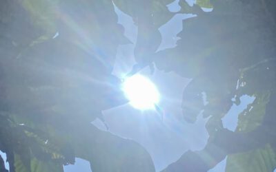 Blendgutachten zur geplanten PV Anlage